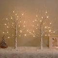 White Birch Tree with LED Lights, Lighted Birch Tree for Tabletop, USB/Battery Operated 24 LED Warm White Tree, 2FT Mini Christmas Tree Decor for Indoor Home Christmas Decorations (2 Pack, Timer)