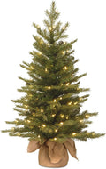 National Tree Company 3ft Pre-Lit Nordic Spruce Mini Christmas Tree