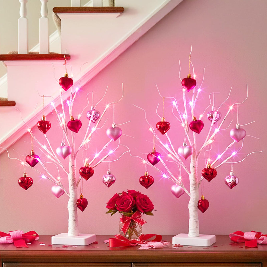 EAMBRITE Lighted Birch Tree Home Decor, Christmas Decorations Indoor 2Pack 24 LED Light Up Tabletop Mini Small Artificial White Trees Lamp with Lights Battery Operated/USB for Table Mantel (2FT)