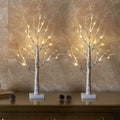 EAMBRITE Lighted Birch Tree Home Decor, Christmas Decorations Indoor 2Pack 24 LED Light Up Tabletop Mini Small Artificial White Trees Lamp with Lights Battery Operated/USB for Table Mantel (2FT)