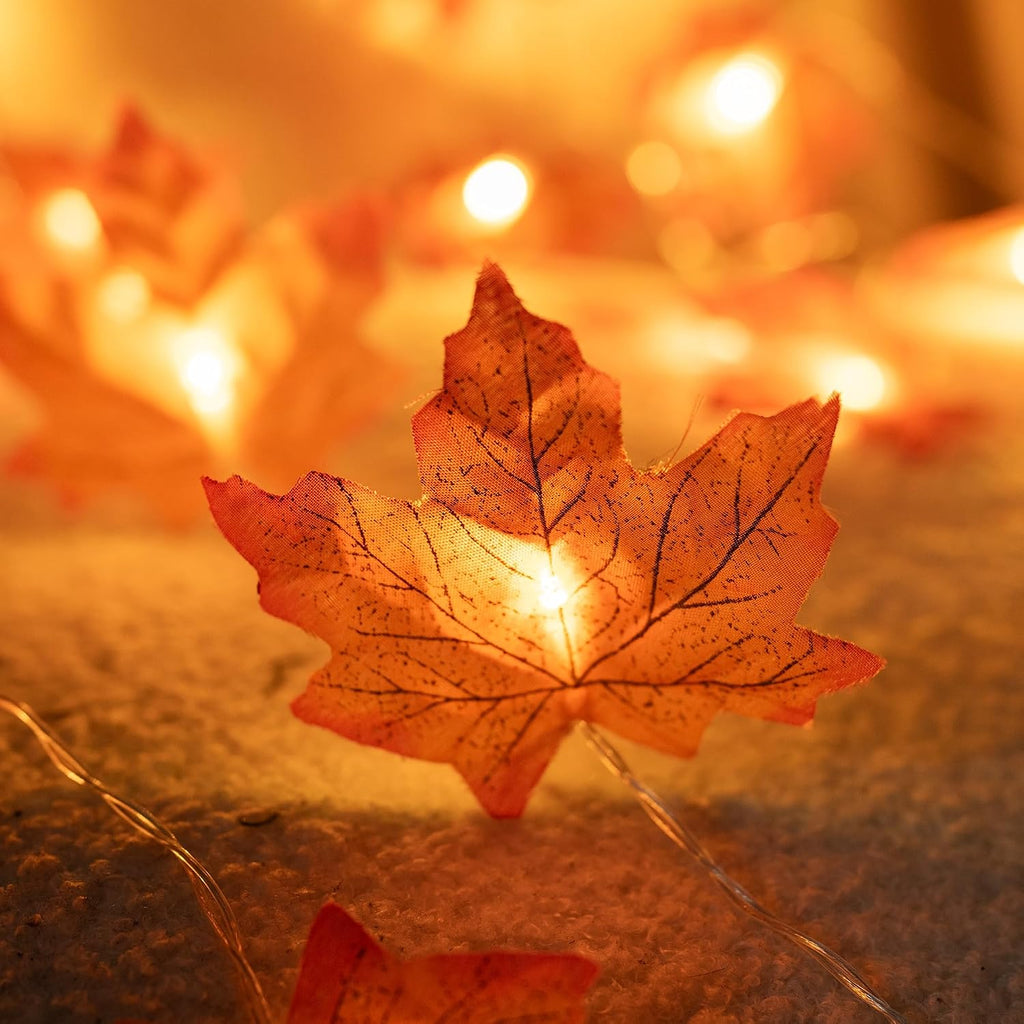 Dazzle Bright 2 Pack Thanksgiving Maple Leaf String Lights, Total 20FT 40 LED Battery Operated Lighted Fall Leaves Garland, Halloween Decorations for Indoor Outdoor Autumn Harvest Decor