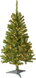 National Tree Company 4ft Pre-Lit Grande Canadian Fir Mini Christmas Tree