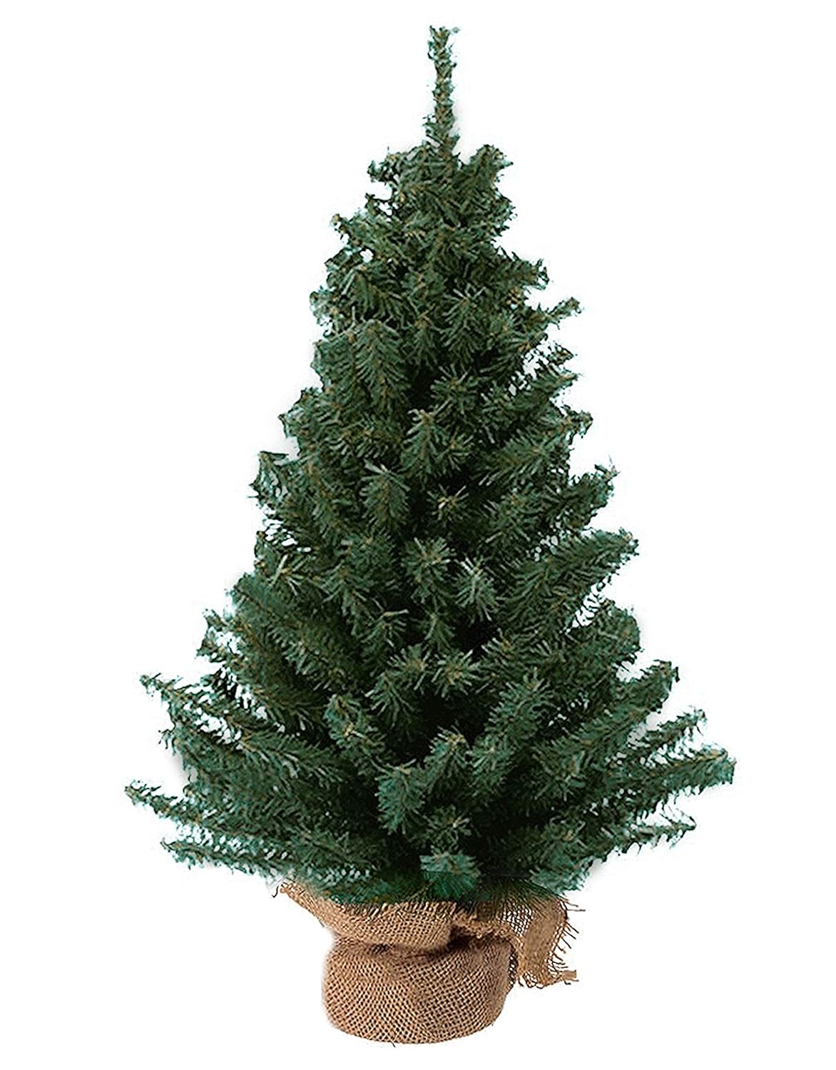 Kurt Adler 12- Inch Miniature Pine Tree