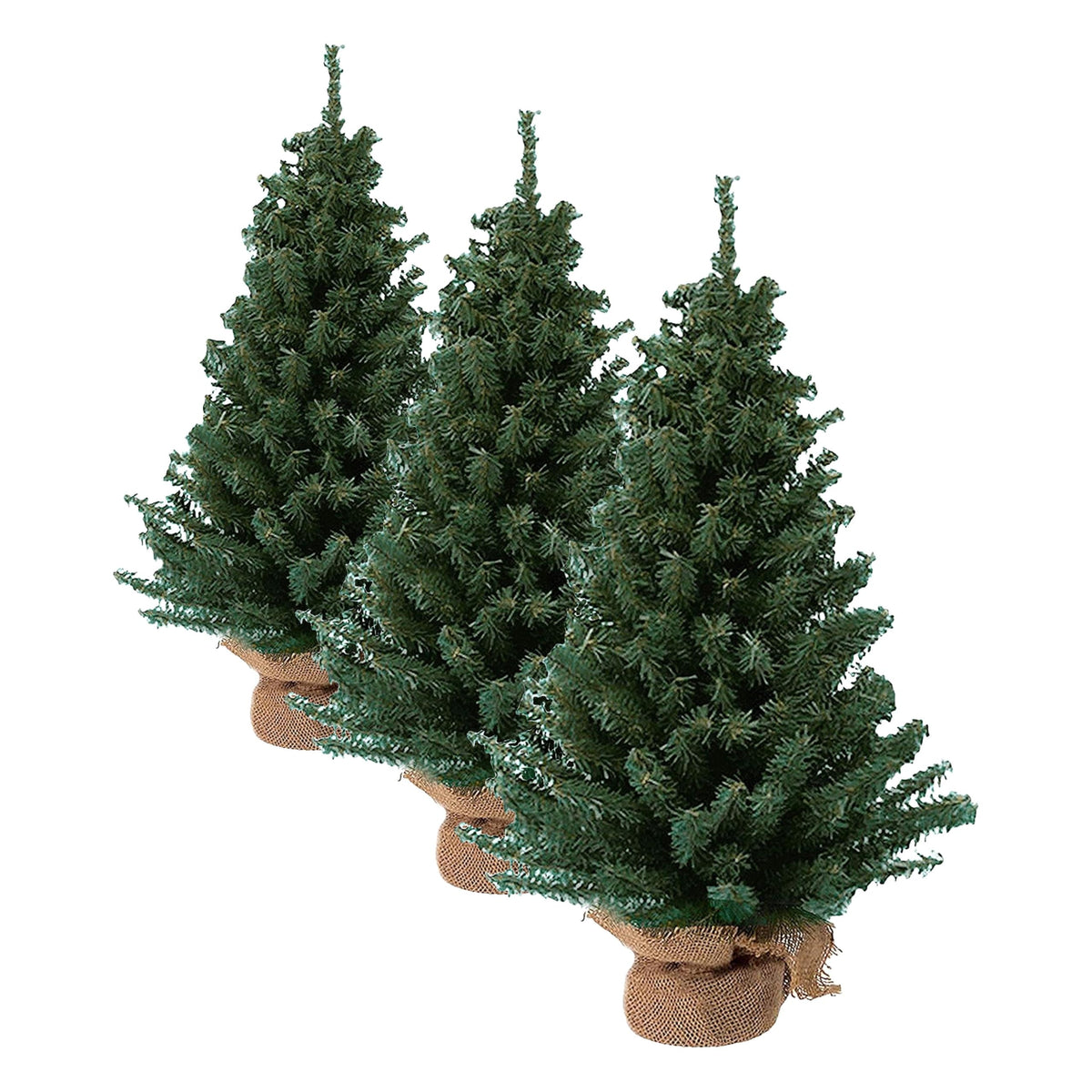 Kurt Adler TR2044 18" Mini Pine Tree