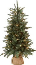 National Tree Company 4ft Pre-Lit Everyday Collection Mini Christmas Tree