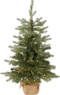 National Tree Company 3ft Pre-Lit Nordic Spruce Mini Christmas Tree
