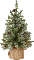 National Tree Company 2ft Pre-Lit Flocked Mini Artificial Christmas Tree